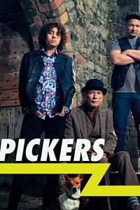 Irish Pickers