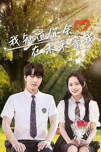 我知道你会在未来等我