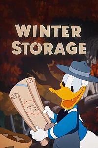 Winter Storage