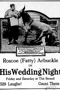 His Wedding Night